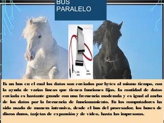 BUS
PARALELO

E un bus en el cual los datos son enviados por bytes al mismo tiempo, con
s
la ayuda de varias líneas que tienen funciones fijas. L cantidad de datos
a
enviada es bastante grande con una frecuencia moderada y es igual al ancho
de los datos por la frecuencia de funcionamiento. E los computadores ha
n
sido usado de manera intensiva, desde el bus del procesador, los buses de
discos duros, tarjetas de expansión y de vídeo, hasta las impresoras.

 