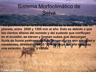 Sistema Morfoclimático de
                   Selva

- La pluviosidad en la zona ecuatorial es la zona mas alta del
planeta, entre 2000 y 1500 mm al año. Esto es debido a que
los vientos alisios del noreste y del sudeste que confluyen
en el ecuador, se elevan y forman nubes que descargan
lluvia de forma permanente. Las temperaturas son elevadas y
constantes, alrededor de 25 ºC. A lo largo del año solo hay
una estación, lluviosa y cálida.
 