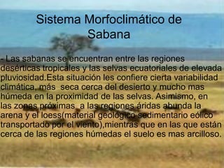 Sistema Morfoclimático de
    Sistema Morfoclimático de Sabana
                Sabana
    • Las sabanas se encuentran entre las regiones
      desérticas tropicales y las selvas ecuatoriales de
- Las sabanas se encuentran entre las regiones
      elevada pluviosidad.Esta situación les confiere
desérticas tropicales y las selvas ecuatoriales de elevada
pluviosidad.Esta situación les confiere cierta cerca del
      cierta variabilidad climática, más seca variabilidad
      desierto y seca cerca del desierto yla proximidad
climática, más    mucho mas húmeda en mucho mas
húmeda las la proximidad de las selvas. Asimismo, en
      de en selvas. Asimismo, en las zonas próximas
      a laspróximas áridasregiones la arena y el la
las zonas    regiones a las abunda áridas abunda
arenaloess(material geológico sedimentario eólico
       y el loess(material geológico sedimentario eólico
      transportado por el viento),mientras que en las
transportado por el viento),mientras que en las que están
cercaquelas regiones húmedas el suelo es mas el
       de están cerca de las regiones húmedas arcilloso.
      suelo es mas arcilloso.
 