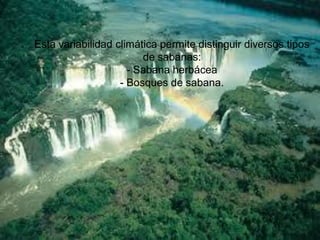 Esta variabilidad climática permite distinguir diversos tipos
                            de sabanas:
                        - Sabana herbácea
Esta variabilidad climática permitesabana. diversos tipos
                      - Bosques de distinguir
                          de sabanas:
                     - Sabana herbácea
                   - Bosques de sabana.
 