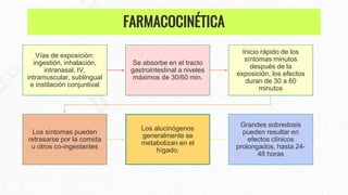 Vías de exposición:
ingestión, inhalación,
intranasal, IV,
intramuscular, sublingual
e instilación conjuntival
Se absorbe en el tracto
gastrointestinal a niveles
máximos de 30/60 min.
Inicio rápido de los
síntomas minutos
después de la
exposición, los efectos
duran de 30 a 60
minutos
Los síntomas pueden
retrasarse por la comida
u otros co-ingestantes
Los alucinógenos
generalmente se
metabolizan en el
hígado.
Grandes sobredosis
pueden resultar en
efectos clínicos
prolongados, hasta 24-
48 horas
FARMACOCINÉTICA
 