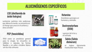 Anestésico quirúrgico en
humanos y animales
Ketamina
supresor de la tos y
el resfriado
Dextrometorfano
(DXM)
ALUCINÓGENOS ESPECÍFICOS
sustancias químicas más poderosas
que alteran la mente, se encuentra en
un hongo que crece en el centeno y
otros cereales”
LSD (dietilamida de
ácido lisérgico)
1950 como un anestésico general
para la cirugía. Se encuentra en
tabletas o cápsulas, las formas
líquidas y en polvo cristalino blanco
son las más comunes
PCP (fenciclidina)
Salvia (Salvia
divinorum)
se ingiere típicamente
masticando hojas frescas
 