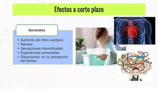 • Aumento del ritmo cardiaco
• Náusea
• Sensaciones intensificadas
• Experiencias sensoriales
• Distorsiones en la percepción
del tiempo
Generales
Efectos a corto plazo
 