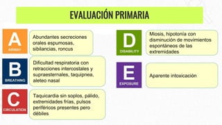 Abundantes secreciones
orales espumosas,
sibilancias, roncus
Dificultad respiratoria con
retracciones intercostales y
supraesternales, taquipnea,
aleteo nasal
Taquicardia sin soplos, pálido,
extremidades frías, pulsos
periféricos presentes pero
débiles
Miosis, hipotonía con
disminución de movimientos
espontáneos de las
extremidades
Aparente intoxicación
EVALUACIÓN PRIMARIA
 