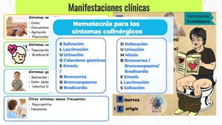 Manifestaciones clínicas
 
