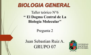 Taller teórico N°6
‘‘ El Dogma Central de La
Biología Molecular’’
Pregunta 2
Juan Sebastian Ruiz A.
GRUPO 07
 