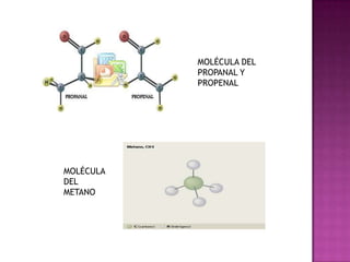 Moléculas y compuestos moleculares
