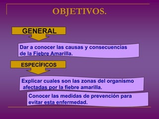 OBJETIVOS.GENERALESPECÍFICOSDar a conocer las causas y consecuencias de la Fiebre Amarilla.Explicar cuales son las zonas del organismo  afectadas por la fiebre amarilla.Conocer las medidas de prevención para evitar esta enfermedad.