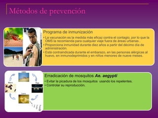 Métodos de prevención