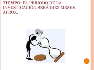 TIEMPO:  EL PERIODO DE LA INVESTIGACIÓN SERÁ DIEZ MESES APROX. 