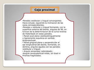 Caja proximal
•Paredes vestibular y lingual convergentes
Hacia oclusal, siguiendo la inclinacion de las
caras correspondientes.
•Paredes v estibular y lingual formando, con la
superficie externa del diente, angulos de 90, en
funcion de la determinacion de la curva reversa
de Hollenback en estas paredes.
• Pared axial plana vestibulolingualmente
y ligeramente expulsiva en sentido
gingivooclusal.
• Pared gingival plana y perpendicular al
eje longitudinal del diente, formando, en
dentina, angulos agudos con las paredes
vestibular y lingual.
• Angulo axiopulpar redondeado;
•Angulo cavosuperficial nitido, sin bisel ni
Prismas fragilizados.
 