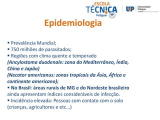 Epidemiologia 
 Prevalência Mundial; 
 750 milhões de parasitados; 
 Regiões com clima quente e temperado 
(Ancylostoma duodenale: zona do Mediterrâneo, Índia, 
China e Japão) 
(Necator americanus: zonas tropicais da Ásia, África e 
continente americano); 
 No Brasil: áreas rurais de MG e do Nordeste brasileiro 
ainda apresentam índices consideráveis de infecção. 
 Incidência elevada: Pessoas com contato com o solo 
(crianças, agricultores e etc...) 
 