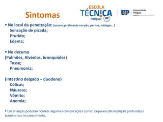 Sintomas 
 No local da penetração: (ocorre geralmente em pés, pernas, nádegas...) 
Sensação de picada; 
Prurido; 
Edema; 
 No decurso 
(Pulmões, Alvéolos, bronquíolos) 
Tosse; 
Pneumonia; 
(Intestino delgado – duodeno) 
Cólicas; 
Náuseas; 
Vômito; 
Anemia; 
 Em crianças poderão ocorrer algumas complicações como: caquexia (desnutrição profunda) e 
transtornos no crescimento. 
 