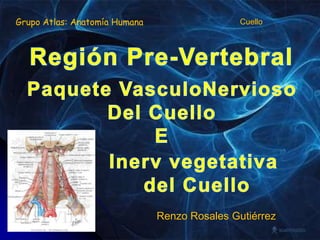 Grupo Atlas: Anatomía Humana Cuello Región Pre-Vertebral Paquete VasculoNervioso Del Cuello E Inerv vegetativa  del Cuello Renzo Rosales Gutiérrez 
