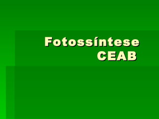 Fotossíntese  CEAB 