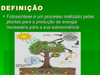DEFINIÇÃO Fotossíntese é um processo realizado pelas plantas para a produção de energia necessária para a sua sobrevivência  
