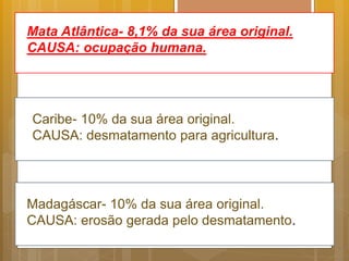 Mata Atlântica- 8,1% da sua área original.
CAUSA: ocupação humana.
Caribe- 10% da sua área original.
CAUSA: desmatamento para agricultura.
Madagáscar- 10% da sua área original.
CAUSA: erosão gerada pelo desmatamento.
 