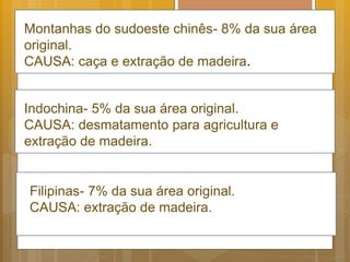 Montanhas do sudoeste chinês- 8% da sua área
original.
CAUSA: caça e extração de madeira.
Indochina- 5% da sua área original.
CAUSA: desmatamento para agricultura e
extração de madeira.
Filipinas- 7% da sua área original.
CAUSA: extração de madeira.
 