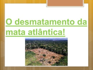 O desmatamento da
mata atlântica!
 