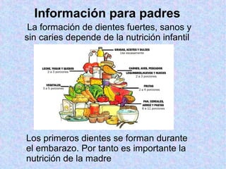 La formación de dientes fuertes, sanos y
sin caries depende de la nutrición infantil
Los primeros dientes se forman durante
el embarazo. Por tanto es importante la
nutrición de la madre
Información para padres
 