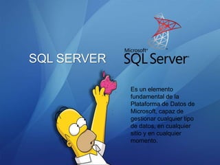 SQL SERVER

             Es un elemento
             fundamental de la
             Plataforma de Datos de
             Microsoft, capaz de
             gestionar cualquier tipo
             de datos, en cualquier
             sitio y en cualquier
             momento.
 