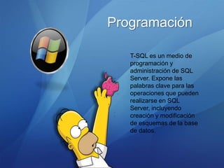Programación

   T-SQL es un medio de
   programación y
   administración de SQL
   Server. Expone las
   palabras clave para las
   operaciones que pueden
   realizarse en SQL
   Server, incluyendo
   creación y modificación
   de esquemas de la base
   de datos.
 