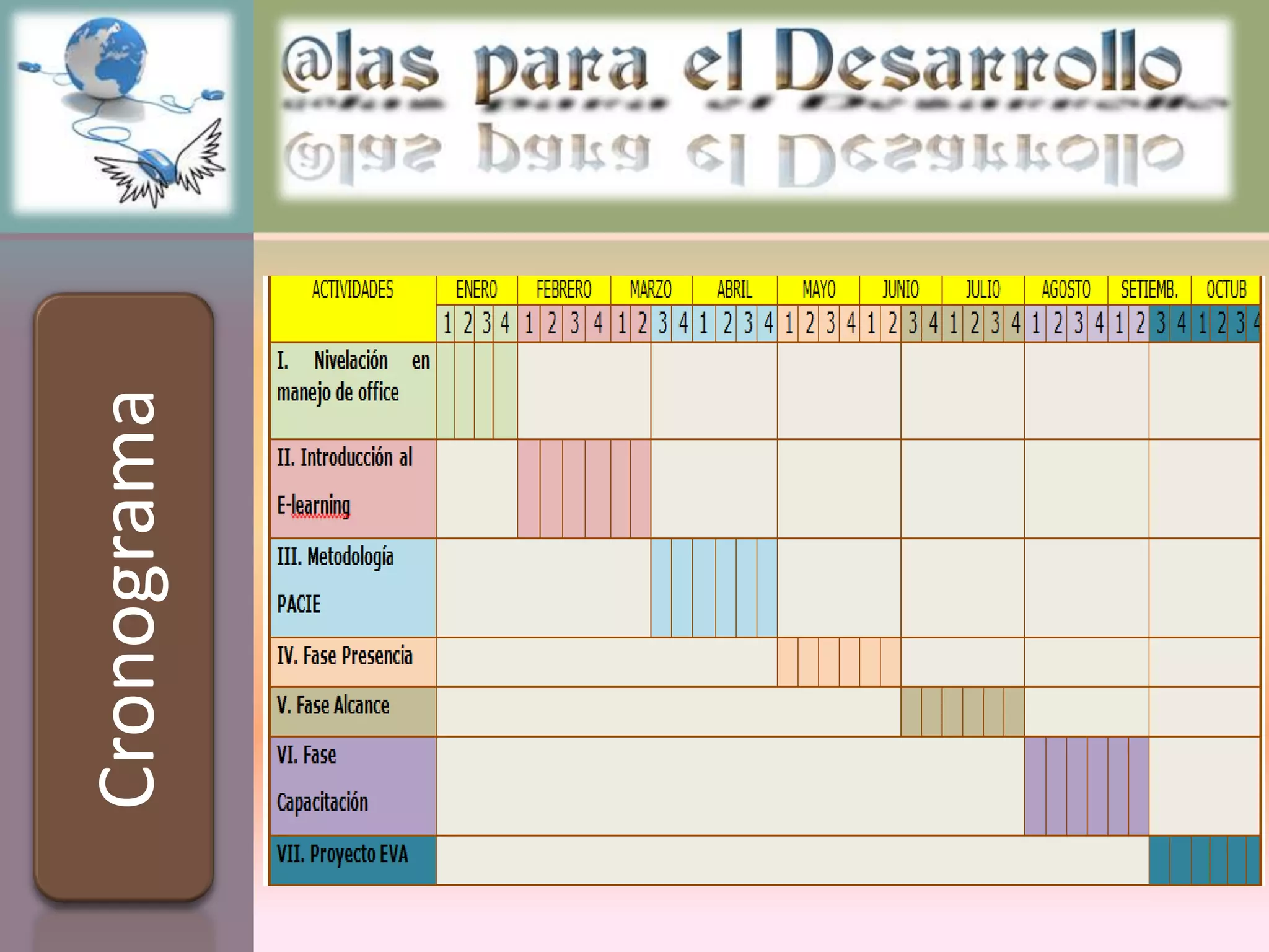 Cronograma
 