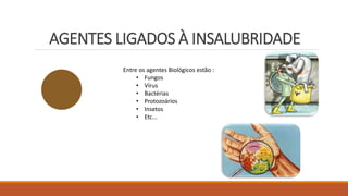 AGENTES LIGADOS À INSALUBRIDADE
Entre os agentes Biológicos estão :
• Fungos
• Vírus
• Bactérias
• Protozoários
• Insetos
• Etc...
 