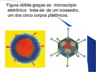 Figura obtida graças ao microscópio
eletrônico: trata-se de um icosaedro,
um dos cinco corpos platônicos.
 