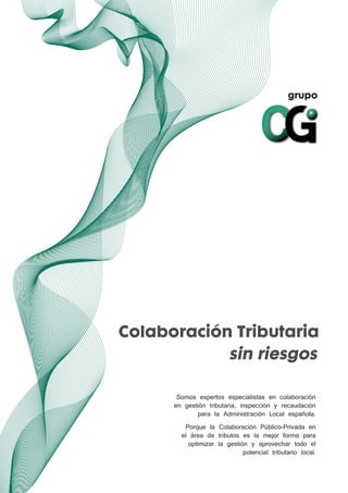grupo
Colaboración Tributaria
sin riesgos
+ Consultoría en gestión
económica innovadora
 
