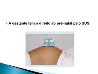  A gestante tem o direito ao pré-natal pelo SUS
 