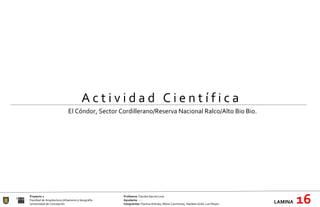 Proyecto 1 Profesora:  Claudia García Lima Facultad de Arquitectura Urbanismo y Geografía Ayudante : --- Universidad de Concepción Integrantes:  Paulina Arévalo, María Carimoney, Hayleen Grell, Luis Reyes. LAMINA   16 A c t i v i d a d  C i e n t í f i c a El Cóndor, Sector Cordillerano/Reserva Nacional Ralco/Alto Bio Bio. 
