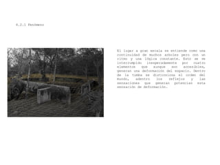 4.2.1 Fenómeno
El lugar a gran escala se entiende como una
continuidad de muchos arboles pero con un
ritmo y una lógica constante. Esto se ve
interrumpido inesperadamente por cuatro
elementos que aunque son accesibles,
generan una deformación del espacio. Dentro
de la tumba se distorsiona el orden del
mundo, adentro los reflejos y las
sensaciones que generan potencian esta
sensación de deformación.
 
