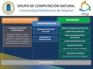 GRUPO DE COMPUTACIÓN NATURAL Universidad Politécnica de Madrid SISTEMAS COGNITIVOS BIOINSPIRADOS BIOINGENIERÍA BIONANOTECNOLOGÍA REDES DE NEURONAS ARTIFICIALES Inteligencia colectiva - Swarm Intelligence, Sistemas sociales inteligentes, Algoritmos basados en comportamientos emergentes, Agentes Cognitivos Autónomos.   SISTEMAS COGNITIVOS  BIOINSPIRADOS BIONANOTECNOLOGÍA  APLICADA ALGORITMOS GENÉTICOS REDES DE PROCESADORES EVOLUTIVOS INGENIERÍA DE NANOSISTEMAS COMPUTACIÓN MOLECULAR BIOLOGÍA SINTÉTICA Ingeniería de sistemas biológicos. BIOLOGÍA DE SISTEMAS Simulación de procesos biológicos. VISIÓN ARTIFICIAL 