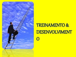 TREINAMENTO &
DESENVOLVIMENT
O
 