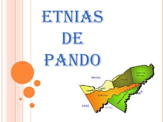 ETNIAS
  DE
PANDO
 
