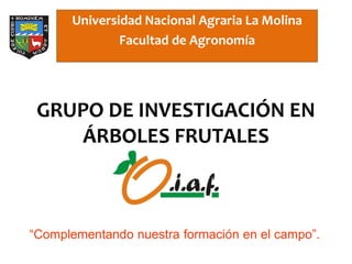 Universidad Nacional Agraria La Molina
              Facultad de Agronomía




 GRUPO DE INVESTIGACIÓN EN
    ÁRBOLES FRUTALES



“Complementando nuestra formación en el campo”.
 