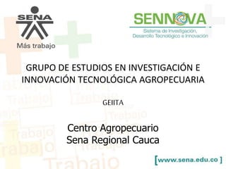GRUPO DE ESTUDIOS EN INVESTIGACIÓN E 
INNOVACIÓN TECNOLÓGICA AGROPECUARIA 
GEIITA 
Centro Agropecuario 
Sena Regional Cauca 
 
