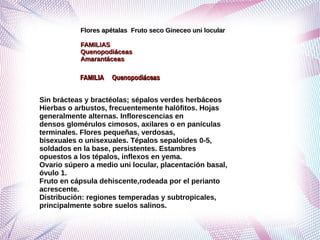 Grupo de ordenes corolianos primero corregido | PDF