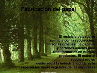 E l reciclaje de papeles  se inicia con la recolección,  en zonas urbanas, de papeles  y cartones usados para  transformarlos en nuevos  productos. El material  recolectado es  destinado a la industria, donde se le  separan las fibras vegetales de las impurezas. Fabricación del papel 