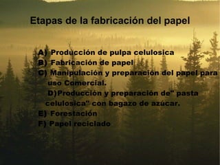   A)  Producción de pulpa celulosica   B)  Fabricación de papel   C)  Manipulación y preparación del papel para  uso Comercial. D) Producción y preparación de" pasta  celulosica" con bagazo de azúcar.    E)  Forestación   F)  Papel reciclado Etapas de la fabricación del papel 