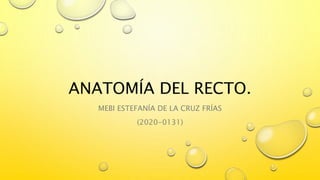 Grupo e. ano, recto y prostata | PPTX