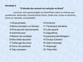 Atividade 6
“O Mundo dos animais em extinção no Brasil”
Construir uma apresentação no PowerPoint sobre os animais que
escolheram, definindo: Características físicas, Onde vive, Como se alimenta,
Como se reproduz, Curiosidades :
1-Onça-pintada
2-Mono-carvoeiro ou Muriqui
3-Pica-pau-de-cara-amarela
4-Ararinha-azul
5-Mutum-do-nordeste
6-Mico-leão-dourado
7-Tartaruga-de-couro
8-Cervo do pantanal
9-Tatu-canastra
10-Ariranha
11-Tamanduá bandeira
12-Lobo-guará
13-Jaguatirica
14-perereca-de-folhagem
15-Ouriço-Caixeiro
16-Gato-maracajá
17-Araponga
18- Peixe-Boi
 