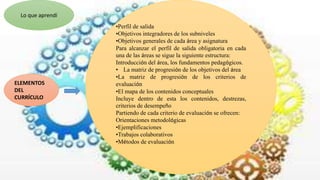 Lo que aprendí
ELEMENTOS
DEL
CURRÍCULO
•Perfil de salida
•Objetivos integradores de los subniveles
•Objetivos generales de cada área y asignatura
Para alcanzar el perfil de salida obligatoria en cada
una de las áreas se sigue la siguiente estructura:
Introducción del área, los fundamentos pedagógicos.
• La matriz de progresión de los objetivos del área
•La matriz de progresión de los criterios de
evaluación
•El mapa de los contenidos conceptuales
Incluye dentro de esta los contenidos, destrezas,
criterios de desempeño
Partiendo de cada criterio de evaluación se ofrecen:
Orientaciones metodológicas
•Ejemplificaciones
•Trabajos colaborativos
•Métodos de evaluación