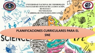 UNIVERSIDAD NACIONAL DE CHIMBORAZO
FACULTAD DE CIENCIAS DE LA EDUCACIÓN,
HUMANAS Y
TECNOLOGÍAS
CARRERA DE PSICOLOGÍA EDUCATIVA
PLANIFICACIONES CURRICULARES PARA EL
SNE
 