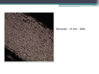 Recozido – 15 min – 200x
 