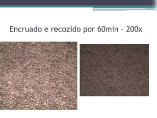 Encruado e recozido por 60min – 200x
 