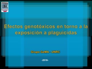 -2016-
Grupo GeMA - UNRC
 