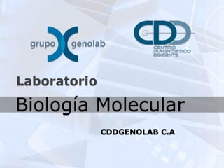 Laboratorio

Biología Molecular
              CDDGENOLAB C.A
 