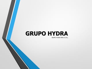 GRUPO HYDRAGRUPO HYDRA PERU E.I.R.L.
 
